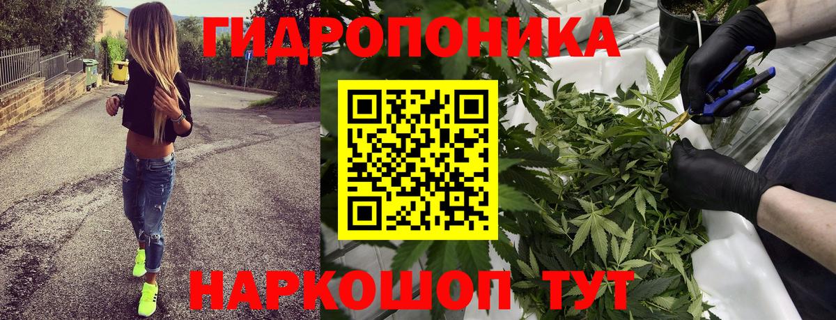 Конопля AK-47  Вход с VPN  Бошки Шишки ГИДРОПОН  Конопля OG Kush  Кинель  Бошки марихуана THC 21% 